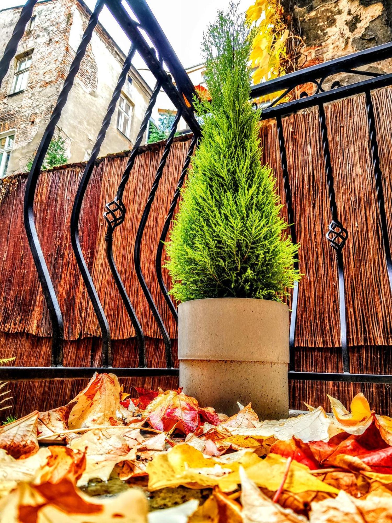 Z-1 Krakow Old Town O&P Apartfamily المظهر الخارجي الصورة